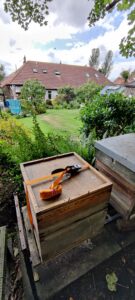 Bee hive strapped up in readiness for a move to the country